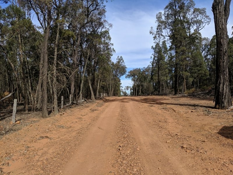 552 Ulungra Springs Road, Bearbong NSW 2827