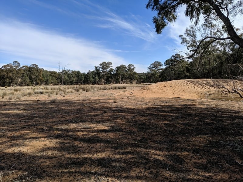 552 Ulungra Springs Road, Bearbong NSW 2827