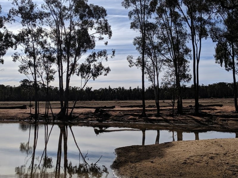 552 Ulungra Springs Road, Bearbong NSW 2827