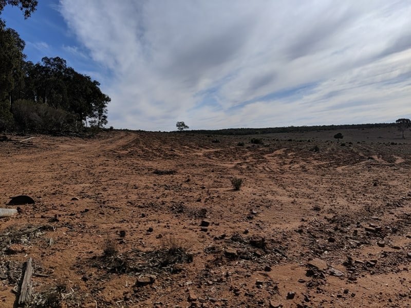 552 Ulungra Springs Road, Bearbong NSW 2827