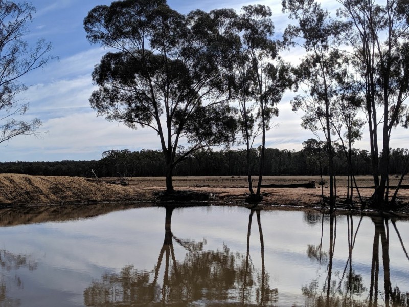 552 Ulungra Springs Road, Bearbong NSW 2827