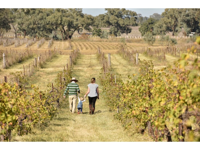 Bell River Mitchell Highway, Neurea NSW 2820