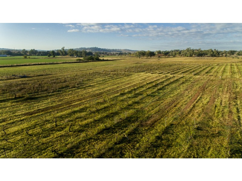 Bell River Mitchell Highway, Neurea NSW 2820
