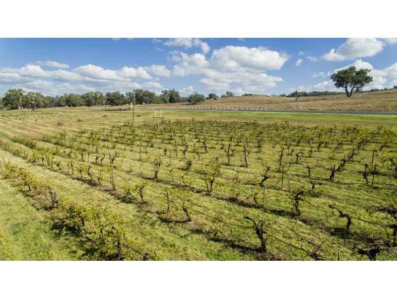 Bell River Mitchell Highway, Neurea NSW 2820