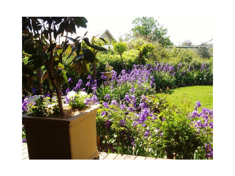 10 Loane Place, Dubbo NSW 2830