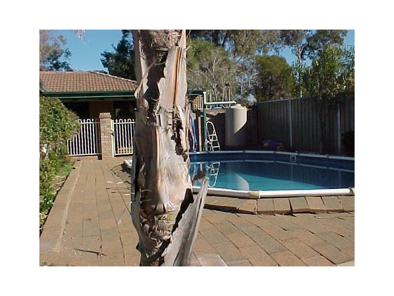 8 Clews Street, Dubbo NSW 2830