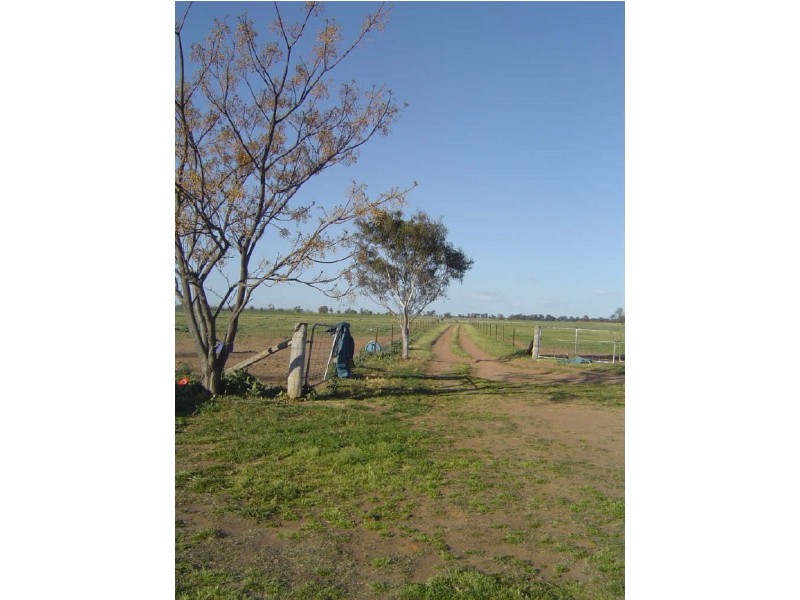 9R Yallamba Road, Dubbo NSW 2830