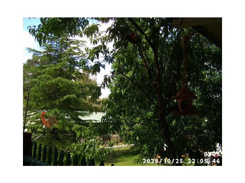 Timor Road, Coonabarabran NSW 2357