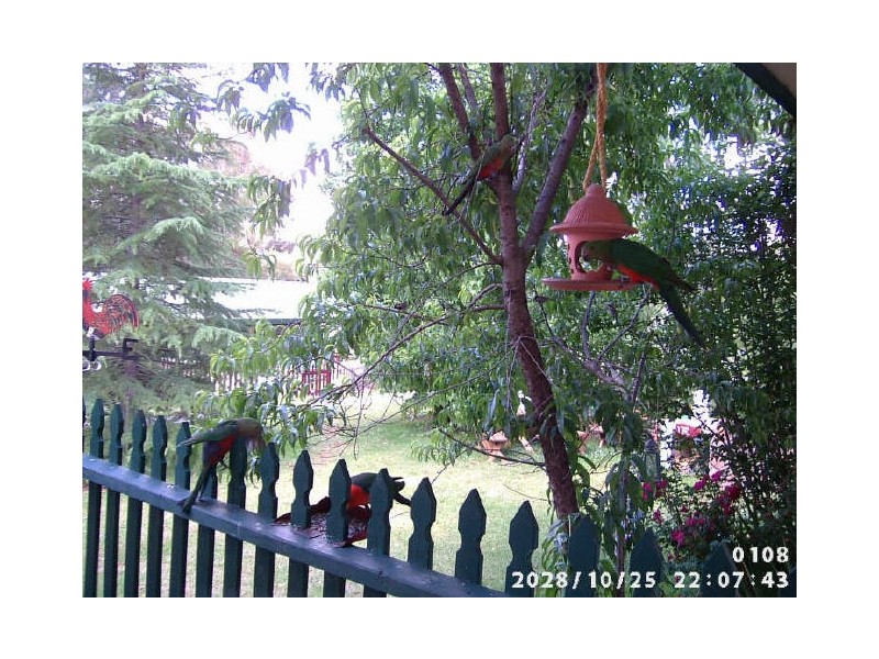 Timor Road, Coonabarabran NSW 2357