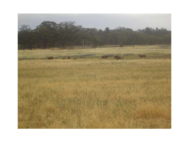 5R Benelong Road, Dubbo NSW 2830