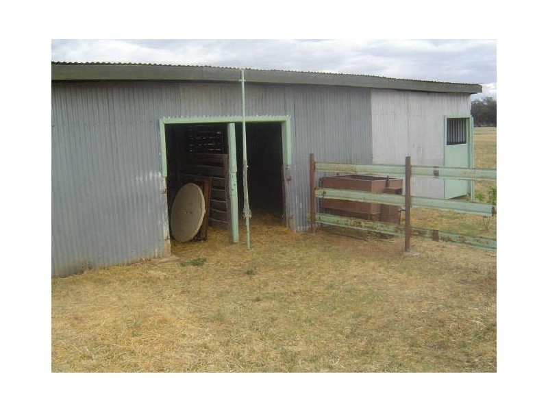 5R Benelong Road, Dubbo NSW 2830