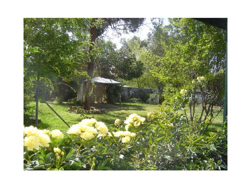 52 Douglas Street, Geurie NSW 2831