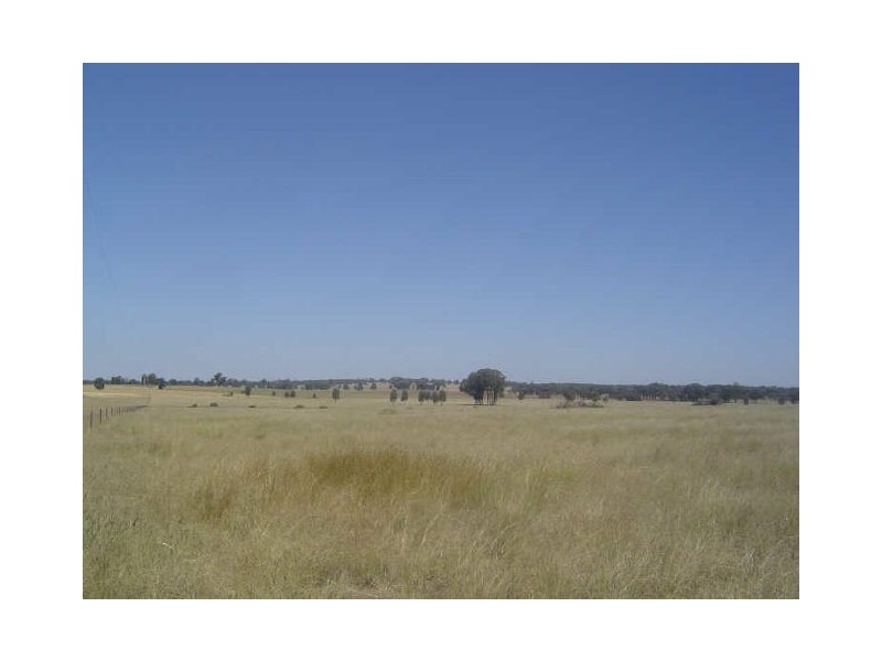 149 Berrawinnia Place, Dubbo NSW 2830