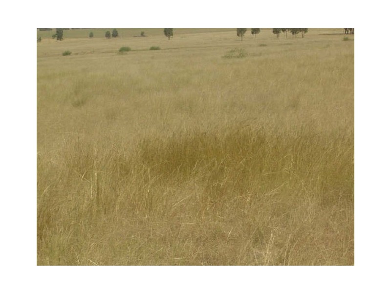 149 Berrawinnia Place, Dubbo NSW 2830