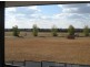 2/6 Pegasus Place, Dubbo NSW 2830