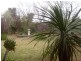 20 Websdale Drive, Dubbo NSW 2830
