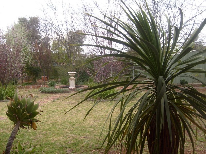 20 Websdale Drive, Dubbo NSW 2830