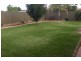 54 Twickenham Drive, Dubbo NSW 2830