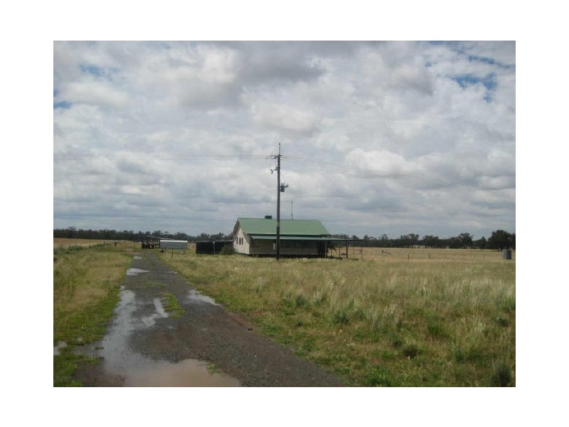 342R Gilgandra Road, Eumungerie NSW 2831