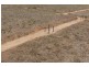 Lot 77 The Falls Road, Dubbo NSW 2830