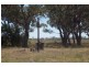 Lot 77 The Falls Road, Dubbo NSW 2830