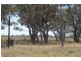 Lot 77 The Falls Road, Dubbo NSW 2830