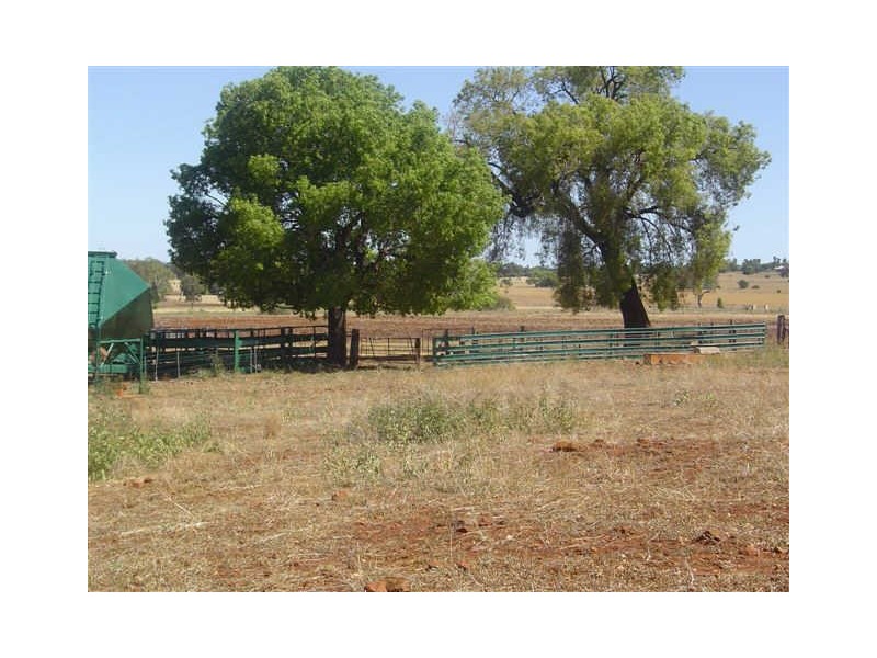 16L Kurrajong Drive, Dubbo NSW 2830