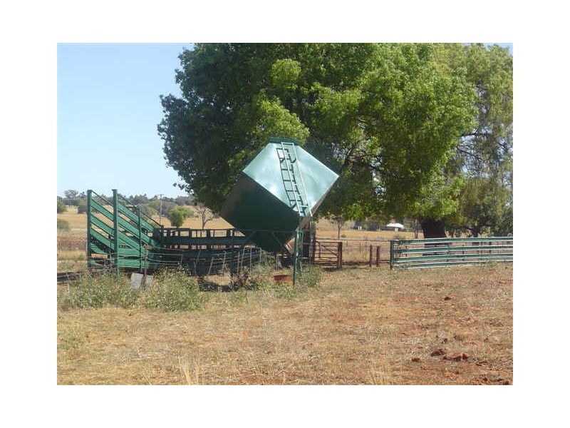 16L Kurrajong Drive, Dubbo NSW 2830