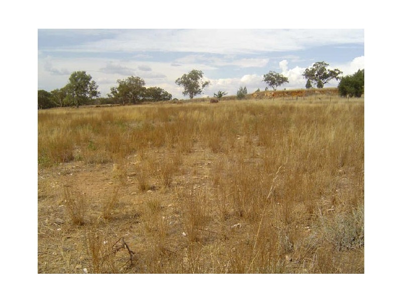 86 Narragal Street, Geurie NSW 2831