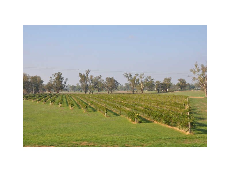 Lazy River Estate/29R Old Dubbo Road, Dubbo NSW 2830