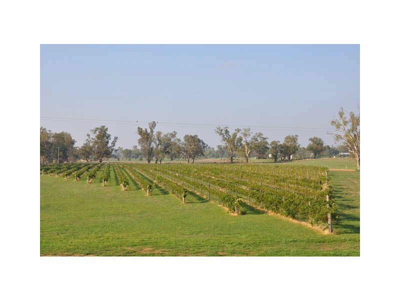 29R Old Dubbo Road LRE, Dubbo NSW 2830