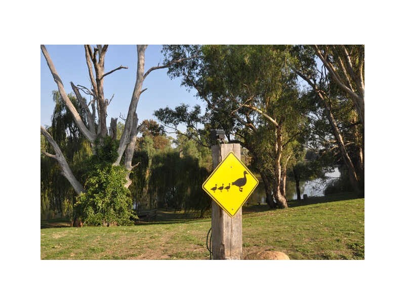 Lazy Riv Est/29R Old Dubbo Road, Dubbo NSW 2830