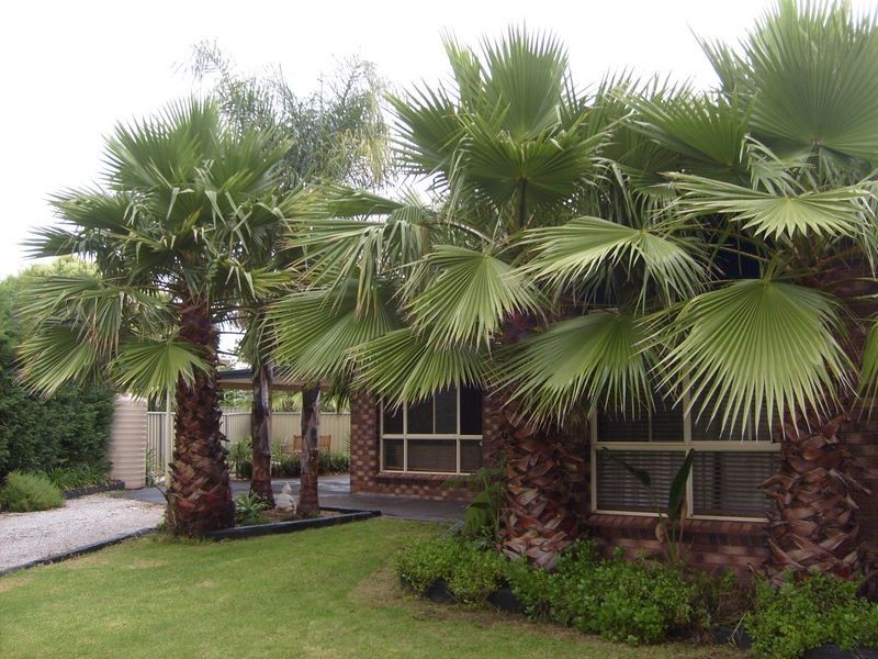 27 Pegasus Place, Dubbo NSW 2830