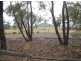 227L Narromine Road ‘Labana Park’, Dubbo NSW 2830