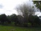 46 Myrtle Street, Gilgandra NSW 2827