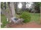 58 Whylandra Street, Dubbo NSW 2830