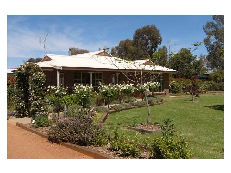 16 Crossley Drive, Narromine NSW 2821