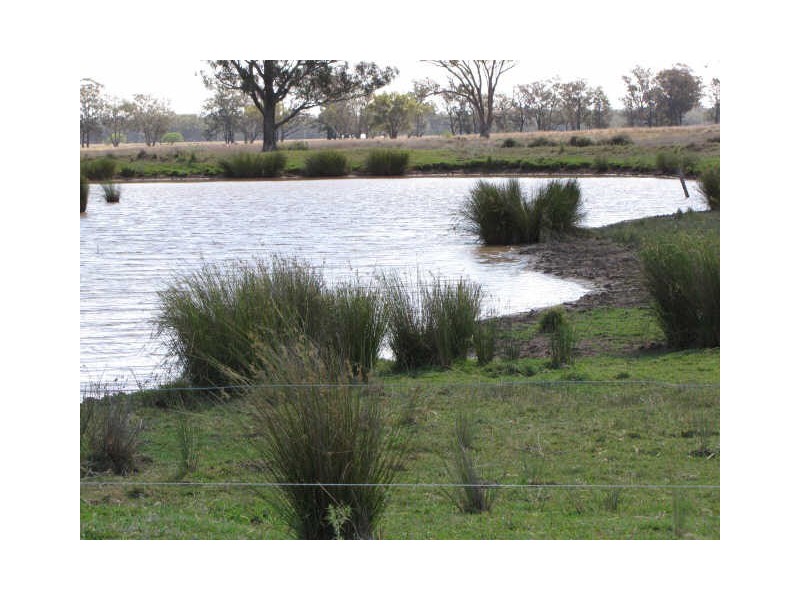 ‘Hillside’ 30L Maiala Road, Eumungerie NSW 2831