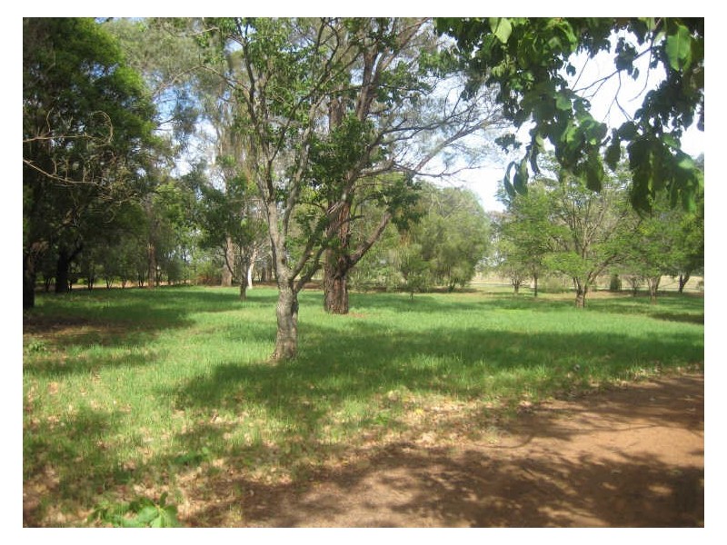 106 Warren Road, Narromine NSW 2821