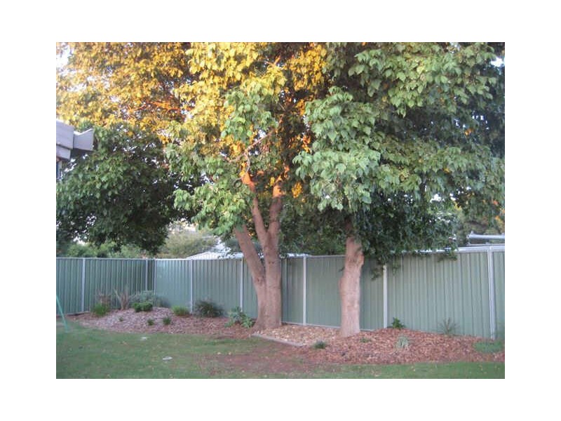 32 Birch Avenue, Dubbo NSW 2830