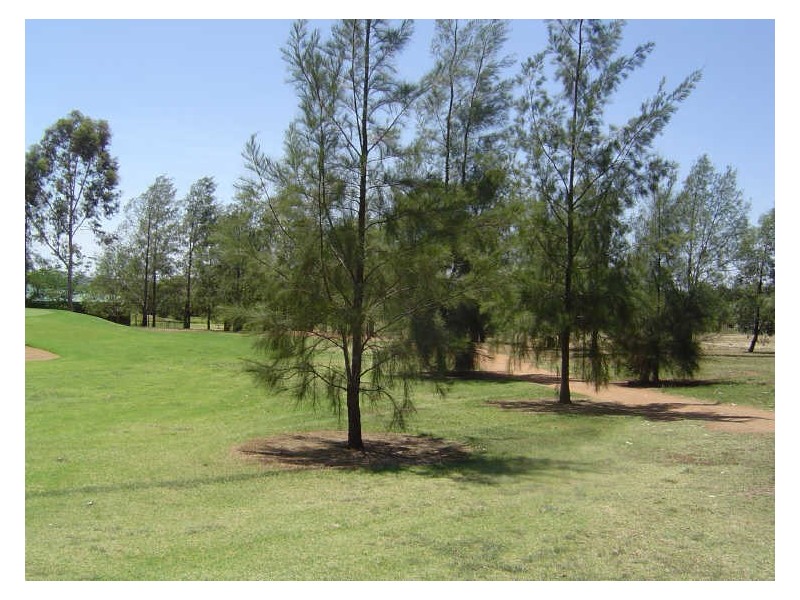 Lot 1513 Lakeside Circuit, Dubbo NSW 2830
