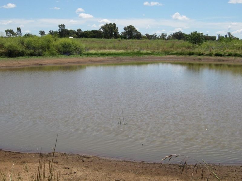 101L Bunglegumbie Road, Dubbo NSW 2830