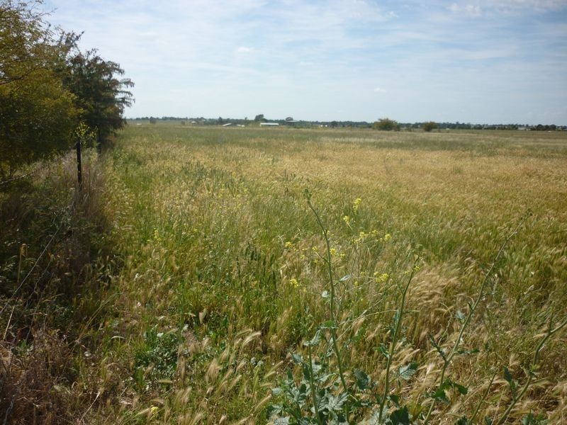 101L Bunglegumbie Road, Dubbo NSW 2830