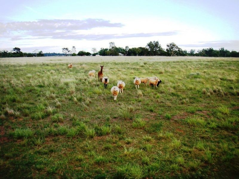 101L Bunglegumbie Road, Dubbo NSW 2830