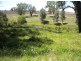 252 Old Geurie Homestead Road, Geurie NSW 2831