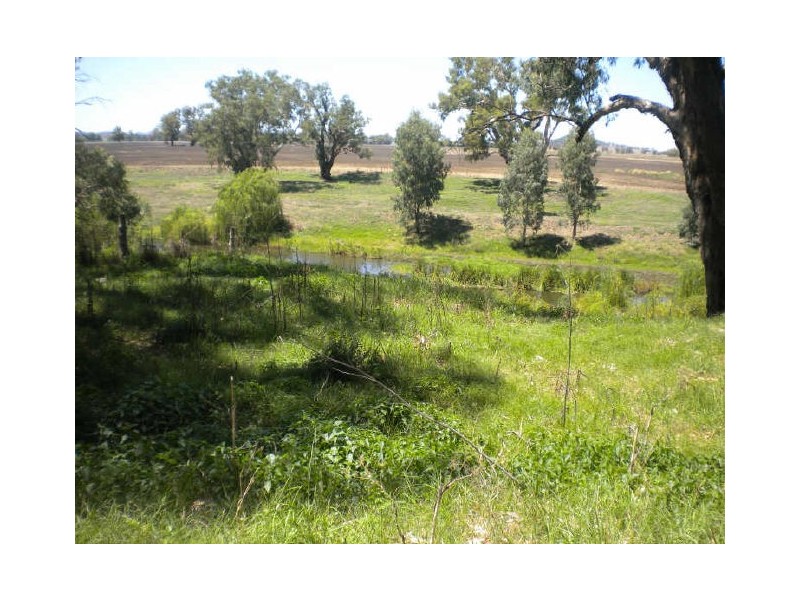 252 Old Geurie Homestead Road, Geurie NSW 2831 the real estate agency