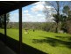 252 Old Geurie Homestead Road, Geurie NSW 2831