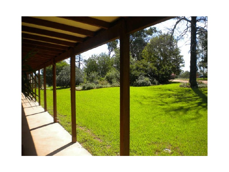 252 Old Geurie Homestead Road, Geurie NSW 2831 the real estate agency