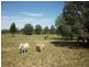 13R Wilfred Smith Drive, Dubbo NSW 2830