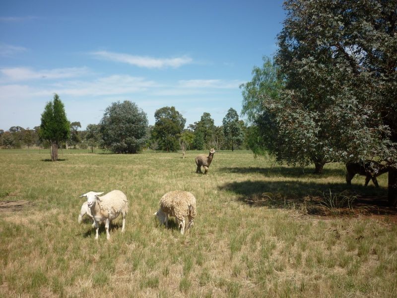 13R Wilfred Smith Drive, Dubbo NSW 2830